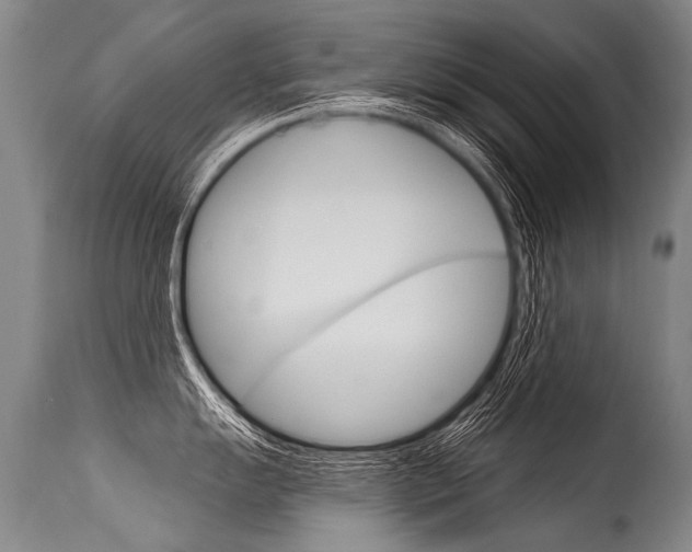 X0000115631055200911101114