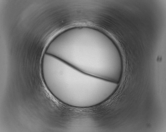 X0000115631056200911101114
