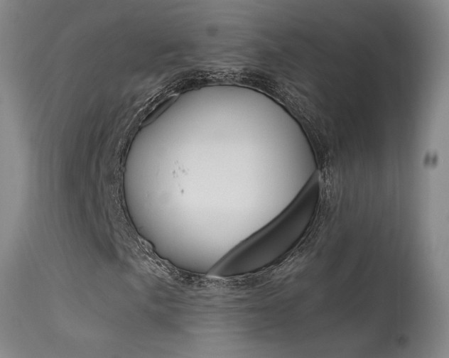 X0000115631057200911101114