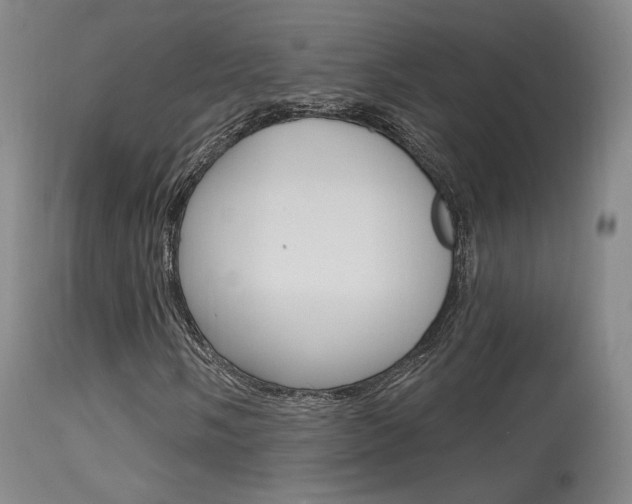 X0000115631058200911101114