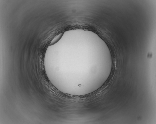 X0000115631059200911101114