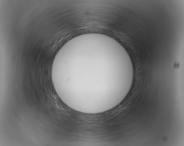 X0000115631060200911101114