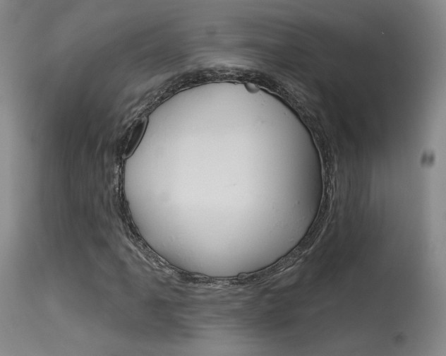 X0000115631061200911101114