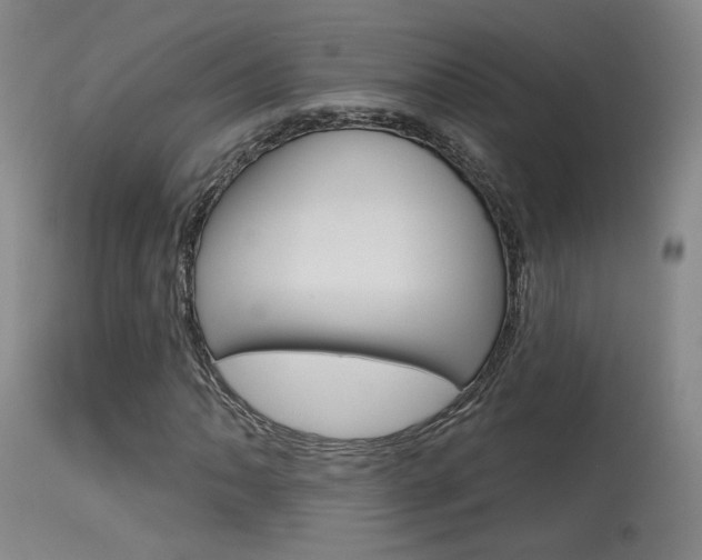 X0000115631062200911101114