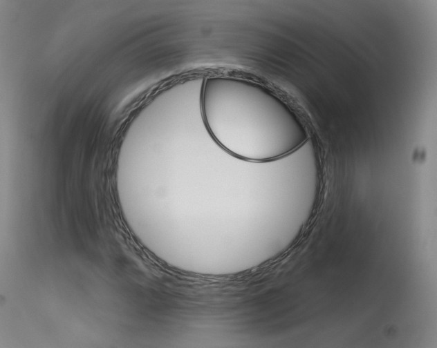X0000115631064200911101114