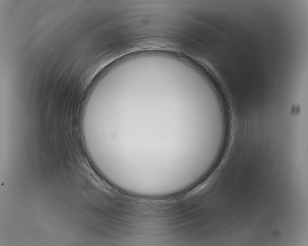 X0000115631065200911101114