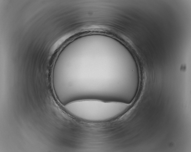 X0000115631066200911101114