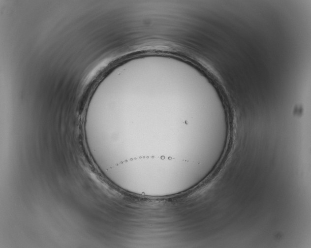 X0000115631067200911101114