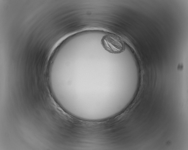 X0000115631068200911101114