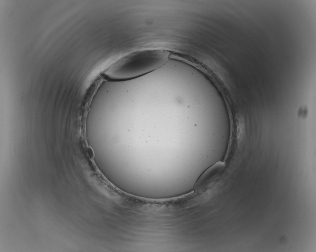 X0000115631069200911101114