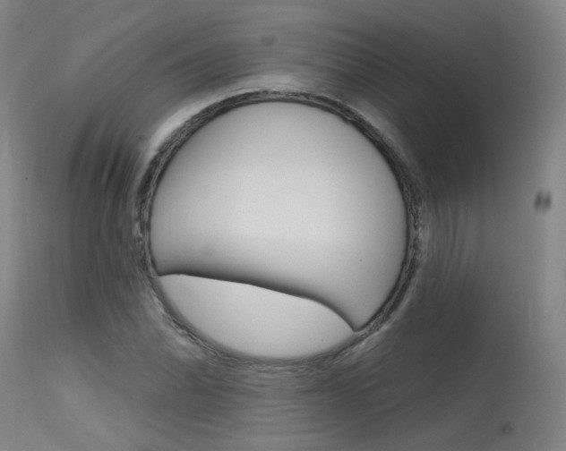 X0000115631070200911101114