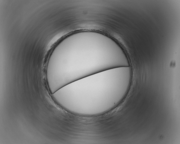 X0000115631071200911101114