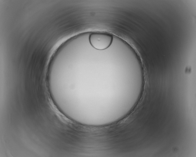 X0000115631072200911101114