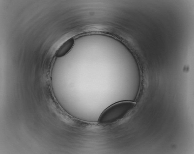 X0000115631073200911101114
