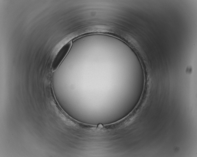 X0000115631081200911101113