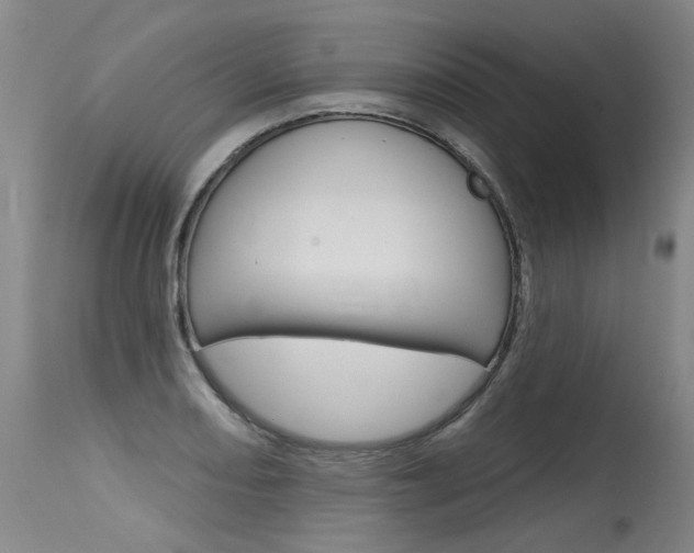 X0000115631082200911101113