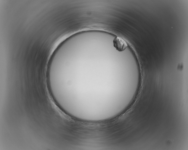 X0000115631085200911101113
