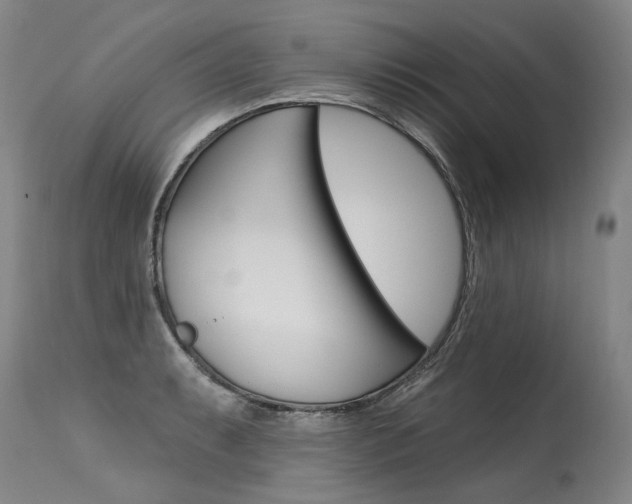 X0000115631087200911101113
