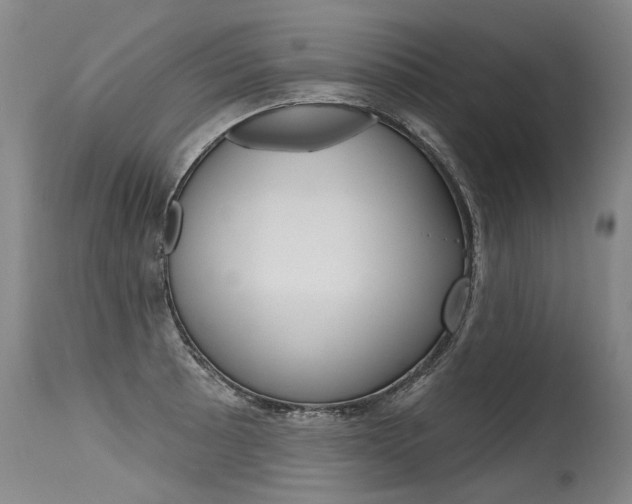 X0000115631089200911101113