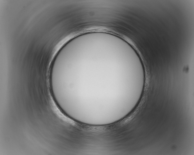 X0000115631090200911101113