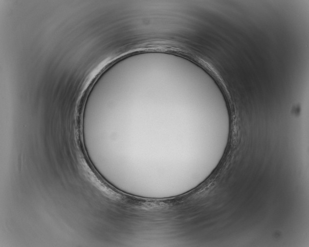 X0000115631091200911101113