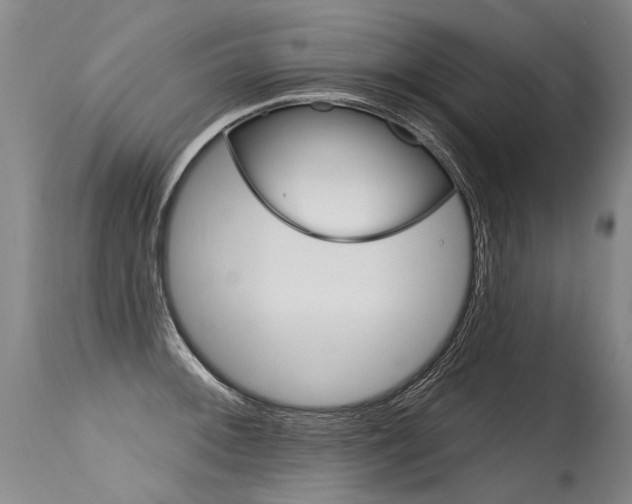 X0000115631092200911101113