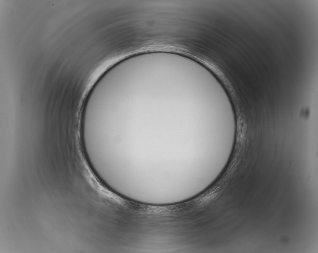 X0000115631094200911101113
