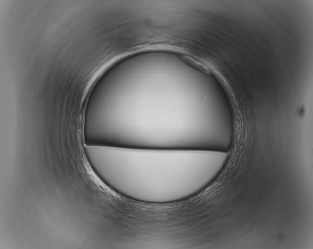 X0000115631100200911101113