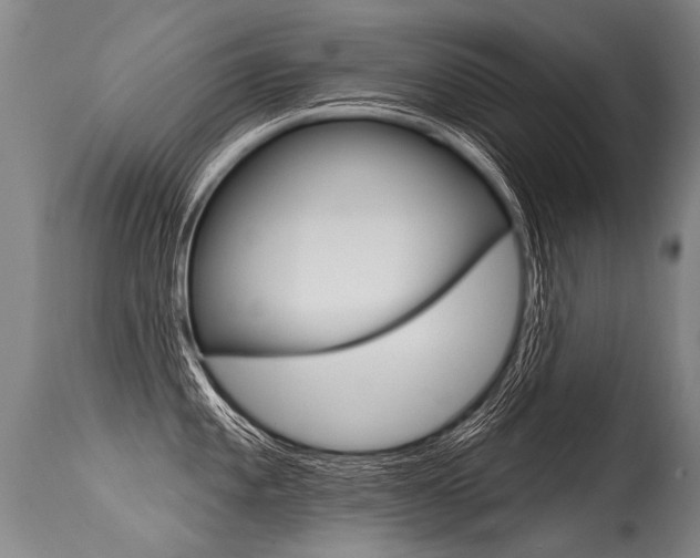 X0000115631101200911101113