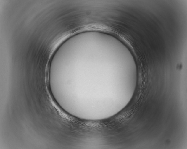 X0000115631103200911101113