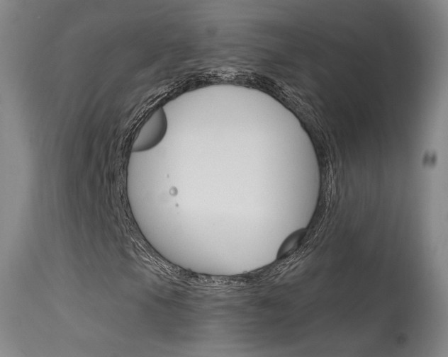 X0000115631105200911101112