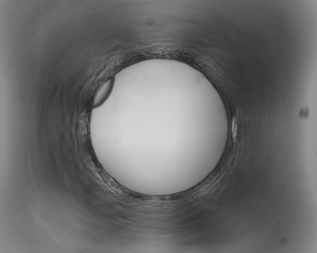 X0000115631107200911101112