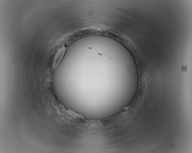 X0000115631110200911101112