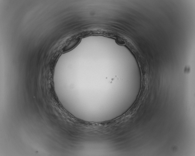 X0000115631111200911101113