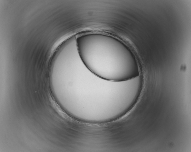 X0000115631114200911101113