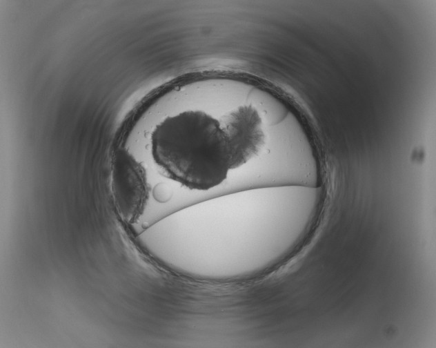 X0000115631117200911101113