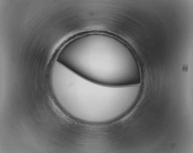 X0000115631118200911101113