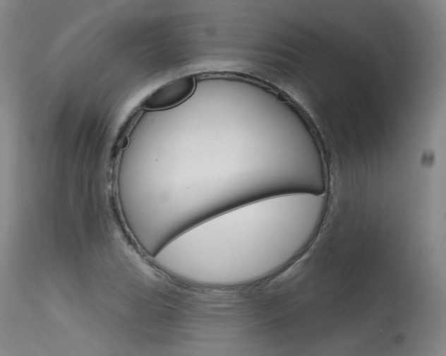 X0000115631119200911101113