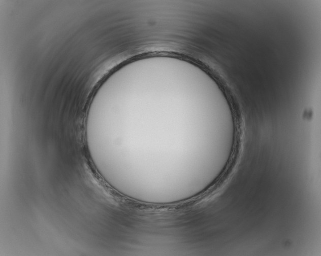 X0000115631121200911101113