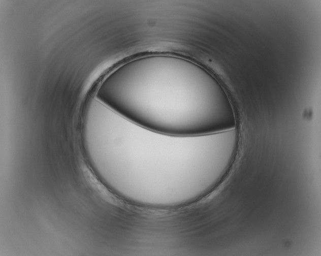 X0000115631122200911101113