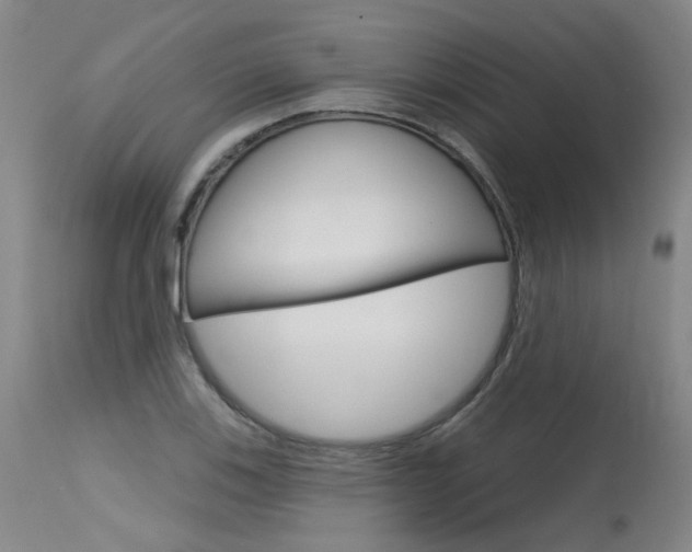 X0000115631123200911101113