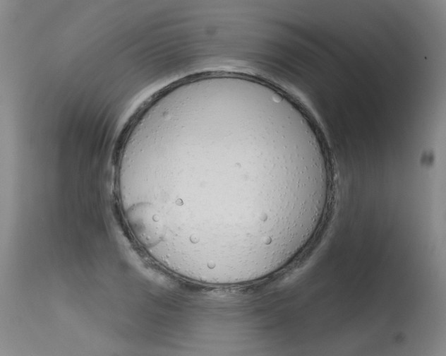 X0000115631125200911101113