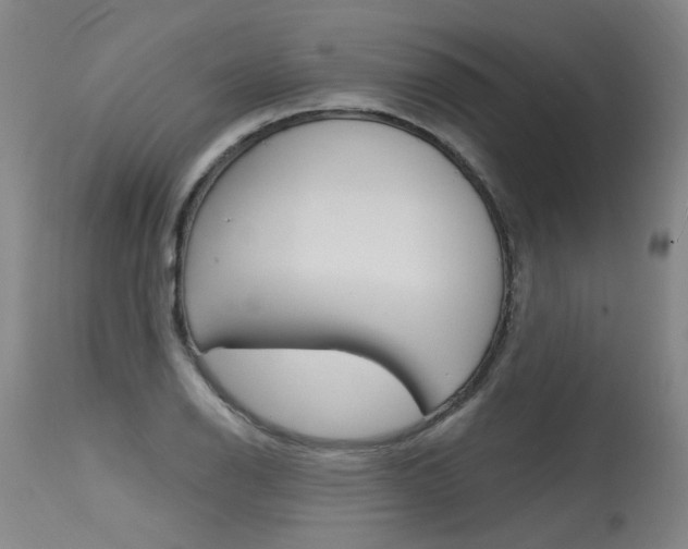 X0000115631126200911101113
