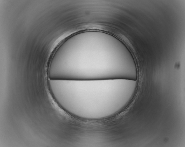 X0000115631133200911101113