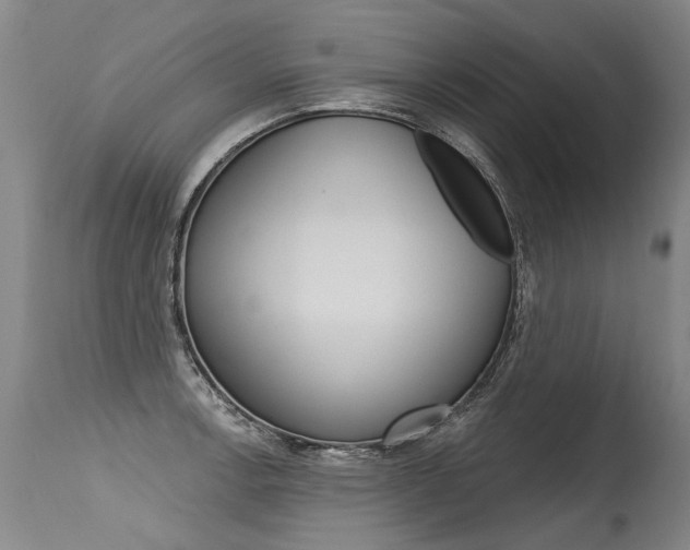 X0000115631138200911101113