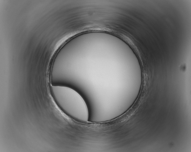 X0000115631141200911101113