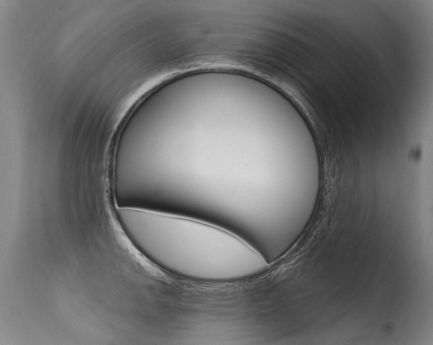 X0000115631142200911101113