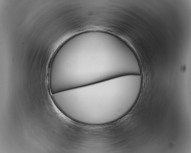 X0000115631143200911101113