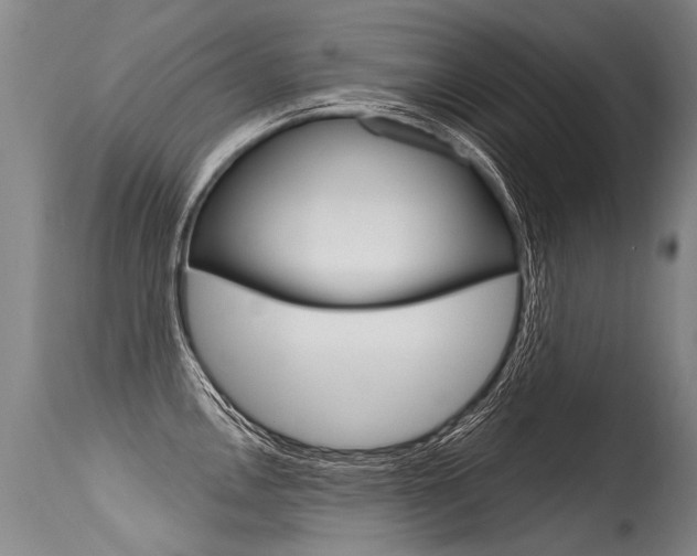 X0000115631146200911101113