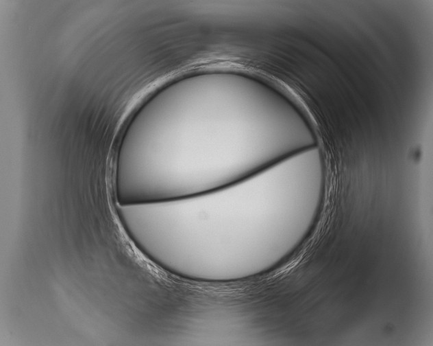 X0000115631149200911101113